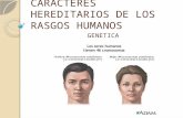 Caracteres Hereditarios de Los Rasgos Humanos