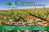 Campo Salmantino Noviembre 2014