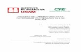2-II-CFE_UNAM-PRUEBAS DE LABORATORIO
