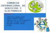 Comercio Internacional de Servicios y Electronico