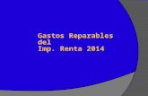Gastos Reparables 2014