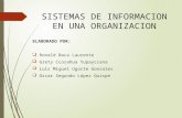 Dispositivas de Sistemas de Informacion en Las Organizaciones