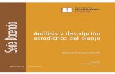 Analisis y Descripcion Estadistica Del Oleaje - SERIES II-UNAM