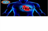 corazon, anatomia y fisiologia cardiaca