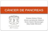 Cancer de Páncreas