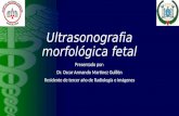 Ultrasonido Morfologico Dr Martinez