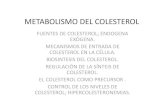 30 Metabolismo Del Colesterol