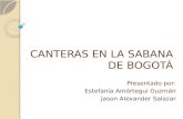 Canteras en La Sabana de Bogotã