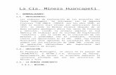 Informe CIA Minera Huancapeti