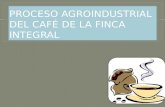 Proceso Agroindustrial Del Café de La Finca Integral