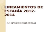LINEAMIENTOS DE ESTADÍA 2011- 2013. OK.ppt