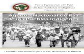 Agenda de Paz de Los Pueblos Indigenas