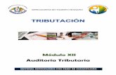 Modulo 12-Auditoria Trributaria(Di)