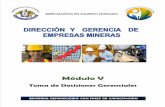 Modulo 5-Direccion Gerencia Empresas Mineras