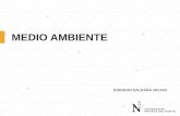 001-MEDIO AMBIENTE.pdf