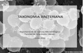 Taxonomia Microbiana