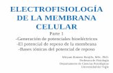 Electrofisiología de La Membrana Celular 1, 2013