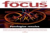 patologias-renales (2)