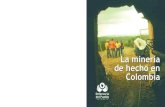 Mineria de Hecho en Colombia
