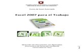 Manual Excel Avanzado 2007