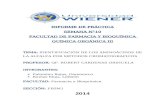 Informe de Practic 10 IDENTIFICACIÓN DE LOS AMINOÁCIDOS DE LA ALFALFA POR MÉTODOS CROMATOGRAFICOS