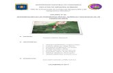 Informe MAcroinvertebrados(1)