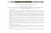 BASES CONVOCATORIA N° 003- EVALUADORES EXTERNOS (Oficial)