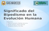 4.SIGNIFICADO DEL BIPEDISMO EN LA EVOLUCIÓN HUMANA.pptx