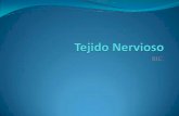Tejido Nervioso.pdf