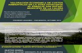 VALORACIÓN ECONÓMICA DE COSTOS AMBIENTALES EN LA ZONA ADYACENTE EMBALSE SAN RAFAEL MUNICIPIO LA CALERA.ppt