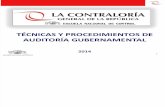 PPT  Técnicas y Procedimientos de Auditoría.pptx