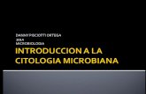 Introduccion a la biologia celular.pdf