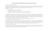 INSTALACION DOMICILIARIA DE GAS NATURAL.pdf