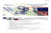 Planteamiento Estrategico y de Sistemas de Informacion Session 1.pdf
