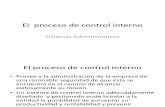 PROCESO DE CONTROL INTERNO.pdf