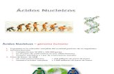 11 - acidos nucleicos.pdf