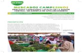 Mercados Campesinos Locales en la Región Central: Un Ejemplo de Apalancamiento