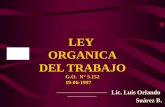 Ley Organica del Trabajo (sector rural).ppt