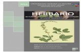 Herbario de Plantas Usadas en la Conervación del Suelo