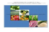 Costos Estimados de Produccion de Cultivos Agricolas - 2012