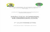 7° PRACTICA FORENSE DE DERECHO CIVIL.pdf