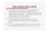 Calidad del Café.pdf