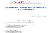 ESPOROZOARIOS INTESTINALES Y TISULARES.pptx