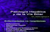 04.- Patologia Hepatica i