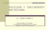 Division y Crecimiento Bacteriano (1)