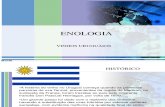 ENOLOGIA URUGUAI.ppt