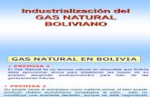 Industrialización Del Gas Natural Boliviano