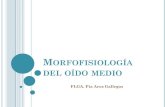 Morfofisiología Del Oído Medio