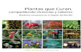 Plantas Que Curan (Del Bío Bío) (2009)