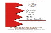 APUNTES SOBRE TEORIA DE LA ORGANIZACI_N.pdf